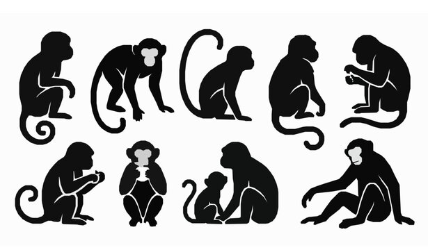 Indonesia tropical monkey glyph vector collection with exotic wildlife silhouettes and primate symbols