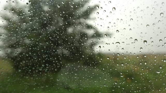Raindrops on car window glass with blurred trees and field in background