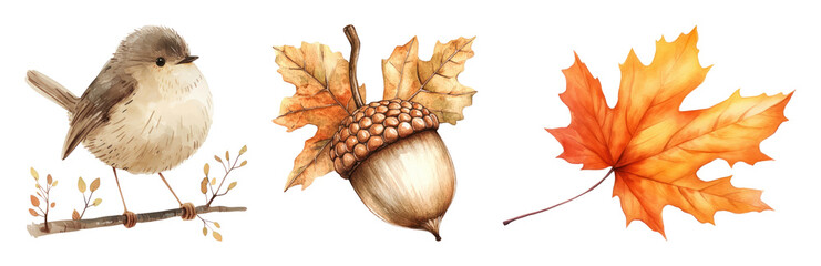 Obraz na płótnie Canvas PNG Autumn-themed illustration with bird, acorn, and leaves, transparent background