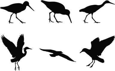Naklejka premium Heron and Flying Bird Black Silhouette Collection with Walking, Perched and Flight Poses