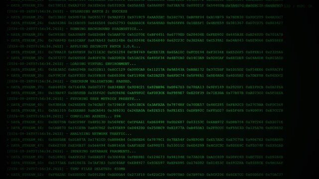 Data stream mainframe hex code terminal screen animation.