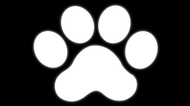 Animated cat black footprint. A cat's paw print appears. Looped video. Vector flat illustration isolated on the white background