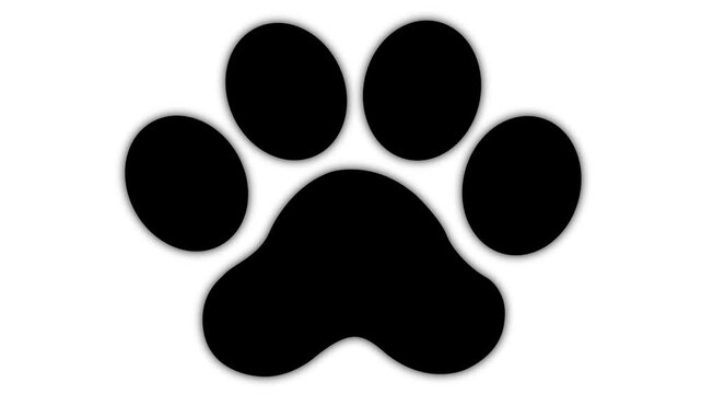 Animated cat black footprint. A cat's paw print appears. Looped video. Vector flat illustration isolated on the white background