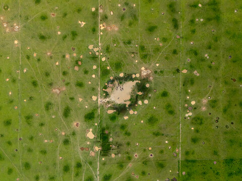 Aerial view of a green landscape in Vietnam featuring numerous small circular ponds and a central sandy patch.