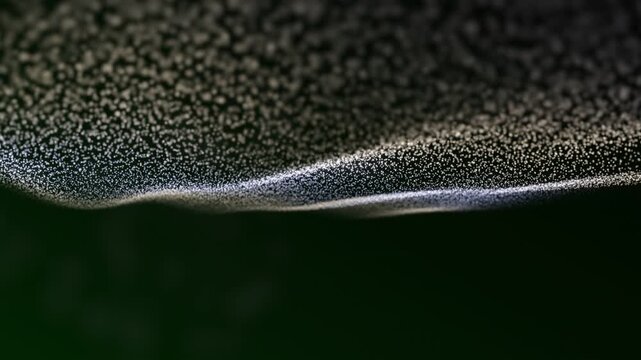 A close-up view of a textured surface subtly illuminated by above-ground light