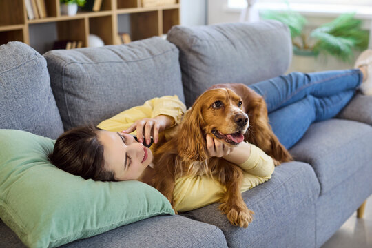 Woman talking on phone with cocker spaniel. Relaxed owner on a cozy sofa at home, bonding with a dog indoor, for pet care, lifestyle or telecom. Clear message of bonding and communication.