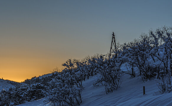 Snowy Hillside with Bare Trees and Old Tower Silhouette at Winter Sunset, Mountain Landscape