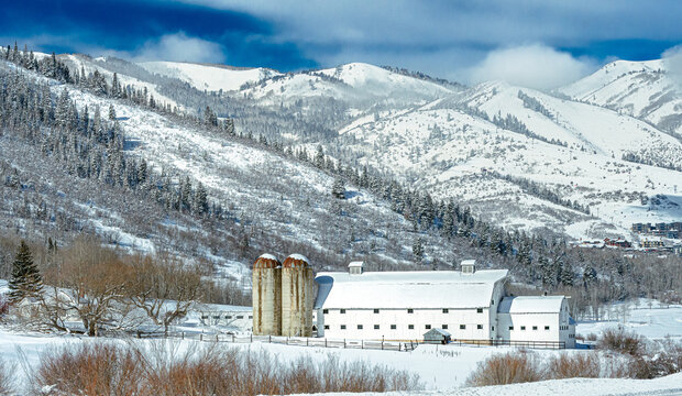 Historic White Barn and Silos in Snowy Mountain Valley in Winter, Rural Landscape