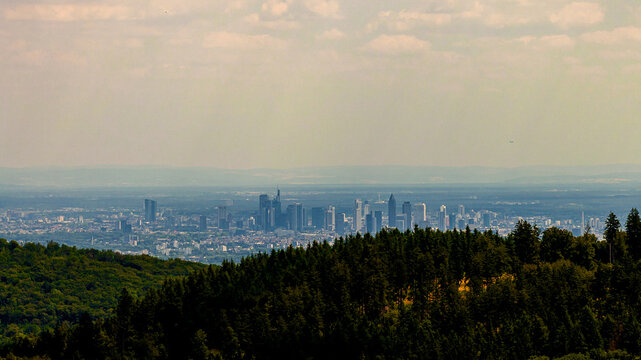 Aerial view of the Frankfurt am Main skyline with modern skyscrapers rising above the dense forest canopy under a hazy sky in Frankfurt am Main, Hessen, Germany.