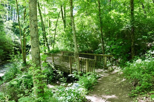 The old wood bridge on the trail.