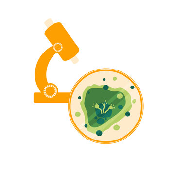 Lab microscope beside petri dish fungus sample on white. Clear laboratory design for contamination notes, indoor health content and study layouts.