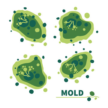 Green fungus spores growth vector illustration set.