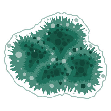 Green mold fungus spot growing on wet house wall. Mildew fungal spores under the microscope. Vector illustration