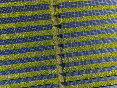 Aerial view of rows of solar panels installed in a green field with a dirt path running through the center in Poland.