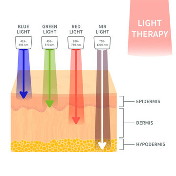 LED light therapy skin penetration guide with infrared wavelengths and tissue layers vector illustration.