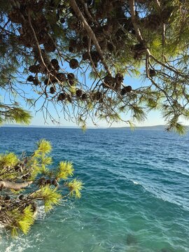 beach, sand, sea, water, sky, sunset, waves, coast, summer, wave, nature, sun, croatia , landscape, travel, coastline, shore, tropical, blue, island, tourism, holiday, paradise, travel, mental, health