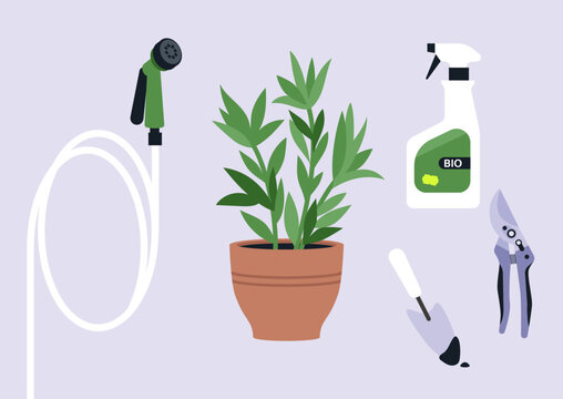 A collection of essential garden tools highlights their importance of caring for plants, Items like a watering hose, sprayer, and pruners are shown beside a thriving potted plant.