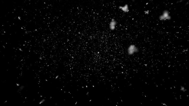 Beautiful, realistic snowflakes falling animation on a black screen background, perfect for winter themes, Christmas videos, festive intros, overlays, and background effects. Winter Snowfall Overlay.