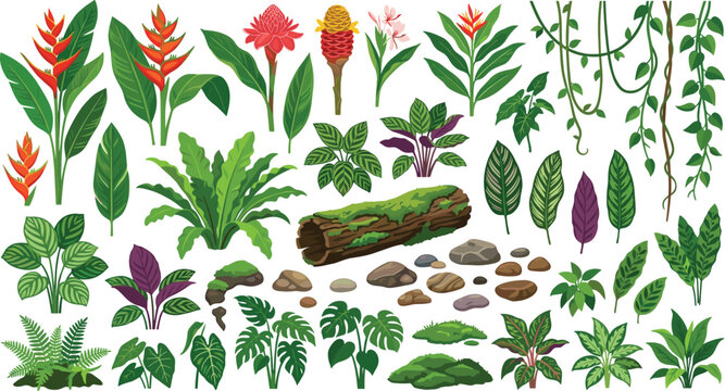 Tropical Rainforest Plants and Jungle Vines Vector Set with Flowers and Mossy Log