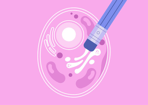Researchers is sketching and analyzing a colorful diagram of biological cells, erasing unwanted elements with a pencil eraser, highlighting the intricate cell structures.