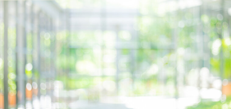 Soft blurred green nature with reflection of glass wall housing.Bright abstract background