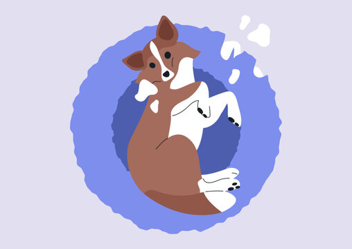 cheerful Sheltie pup unleashes their boundless energy, playfully tearing apart their fluffy bed in a lively display of puppy joy, Their antics fill the room with laughter.