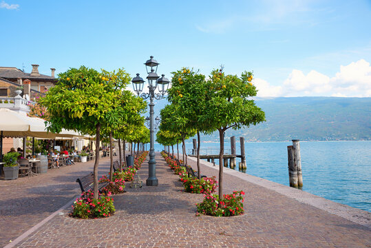 lakeside promenade Gargnano, lake Garda. recreational area with orange trees and benches