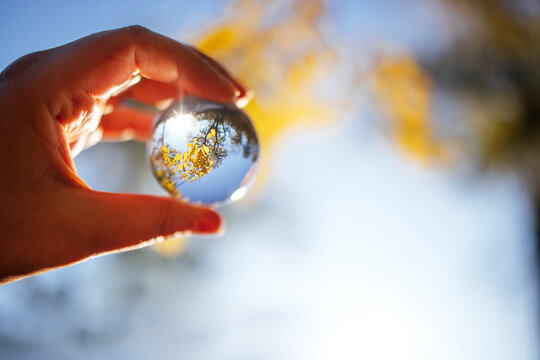 Hand holding a glass sphere reflecting autumn foliage and blue sky, with sunlight creating a soft bokeh effect in the background