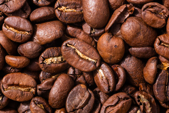 Organic Raw Dry Espresso Coffee Beans