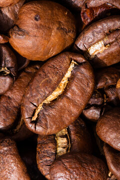 Organic Raw Dry Espresso Coffee Beans