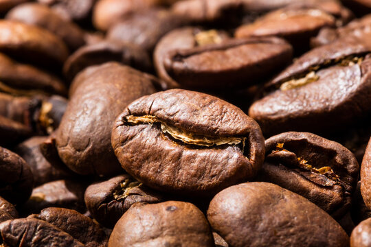 Organic Raw Dry Espresso Coffee Beans