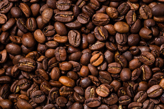 Organic Raw Dry Espresso Coffee Beans