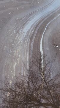 Reflection of the silhouette of a bare winter tree in a puddle on the asphalt with an oily rainbow film of gasoline