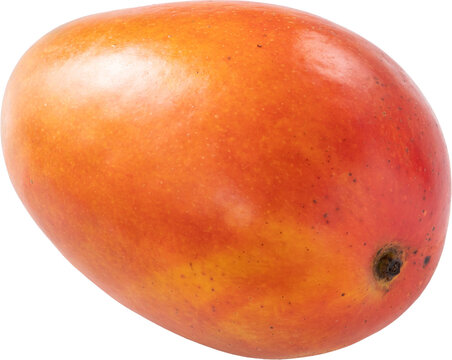 Fresh ripe mango fruit isolated on white background with clipping path