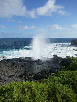 Blowhole spouting large plumes of water on Galapagos Islands vertical photo