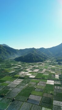 Aerial panorama of Sembalun valley farmland with Bukit Anak Dara peak and morning haze Lombok