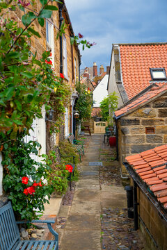 Charming narrow passage between traditional stone cottages with red tiled roofs and climbing roses in Robin Hood&rsquo;s Bay, North Yorkshire, England.