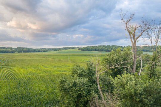 rural lanscape of central MIssouri with corn and soybean fields