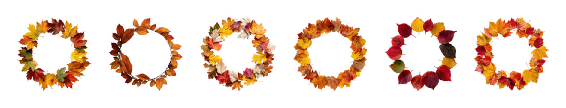 PNG Autumn leaf wreaths in vibrant fall colors on transparent background