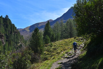 Fototapeta premium Mann und sein Lagotto Romagnolo Hund wandern im Langtaufer Tal in Südtirol 