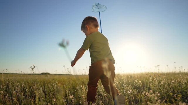 Happy boy walking through meadow at sunset holding butterfly net. Child explores field of wildflowers in warm sunlight. Kid enjoys outdoor summer play. Toddler wanders across grass toward glowing sun.
