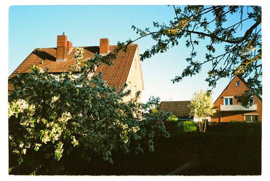 Country houses behind blooming garden trees