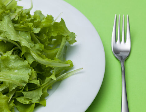 Close Up Fresh Green Salad with Water Drops and Fork