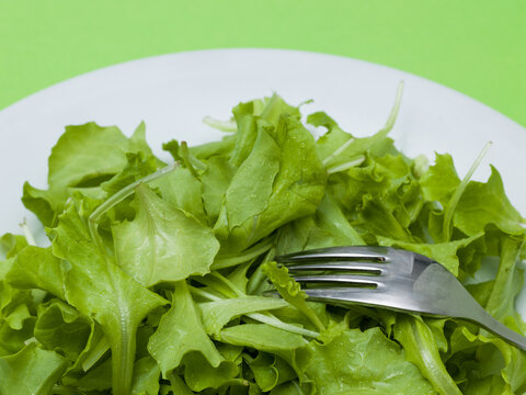 Metal Fork Digging into Fresh Green Salad Close Up