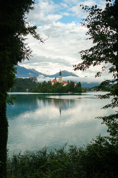 Framed View of Lake Bled Through Trees