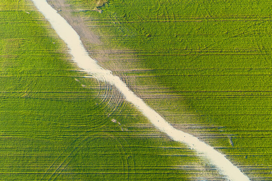 A stream of water running through a newly planted green field