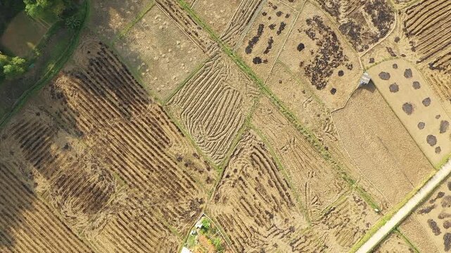 Drone footage showing a patchwork of harvested rice paddies near That Khe in Lang Son province, Vietnam.