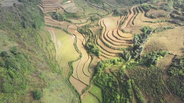Drone footage showcasing the terraced rice fields in the mountainous region of Bac Ha, Lao Cai Province, northern Vietnam.