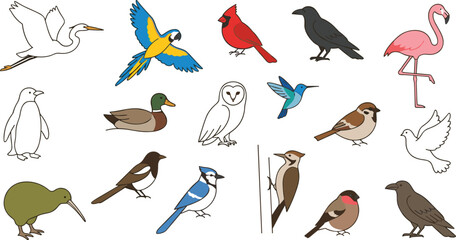 Fototapeta premium Colorful Cartoon Bird Vector Icon Set Featuring Parrot Flamingo Cardinal Owl Penguin Hummingbird Woodpecker and Dove for Wildlife and Nature Designs