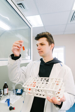 A chemist examines a test tube in a chemical laboratory.